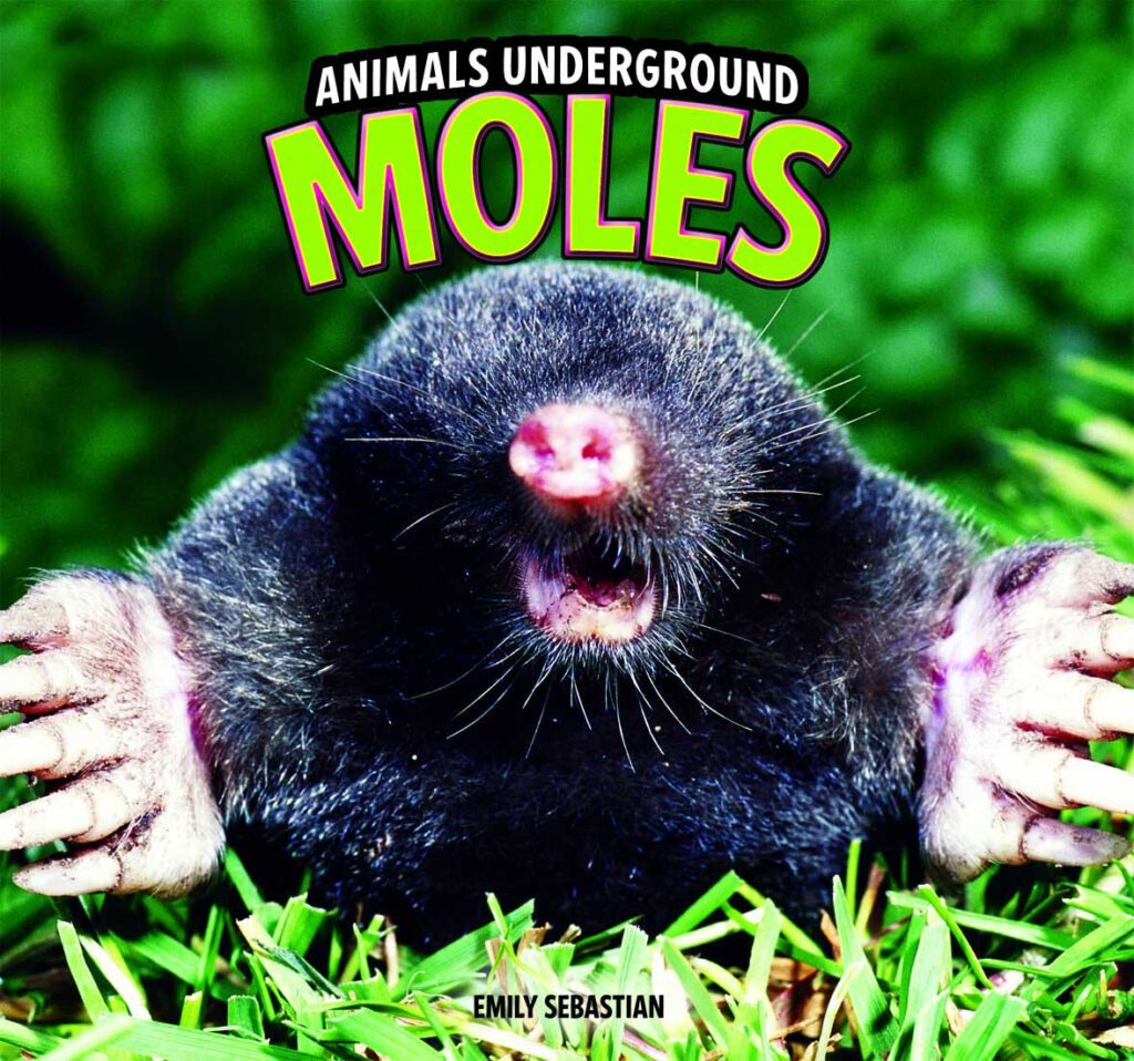 Animals underground: moles