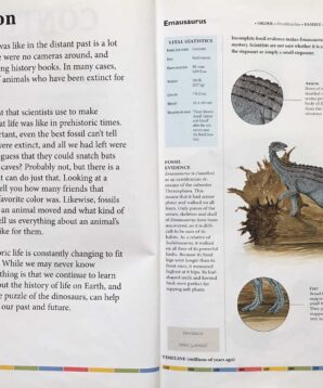 Alternative view of Armoured dinosaurs