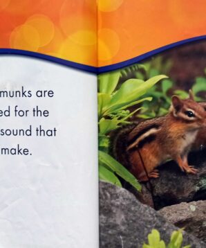 Alternative view of Chipmunks