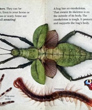 Alternative view of Biggest, baddest book of bugs