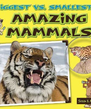 Biggest versus smallest: amazing mammals