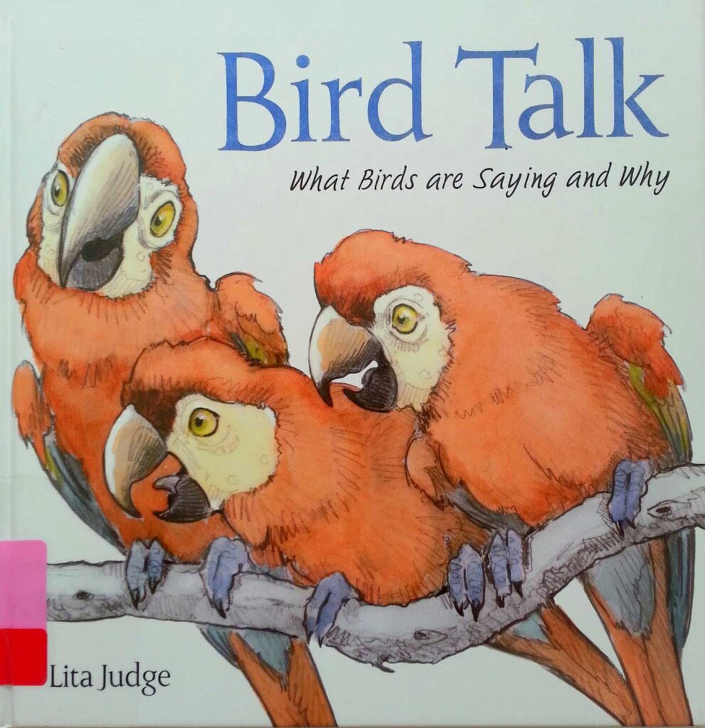 Bird talk: what birds are saying and why