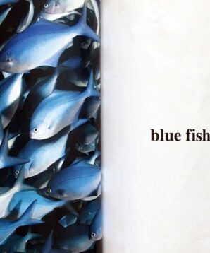 Alternative view of Blue animals