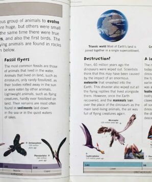 Alternative view of Discover the dinosaurs in the air