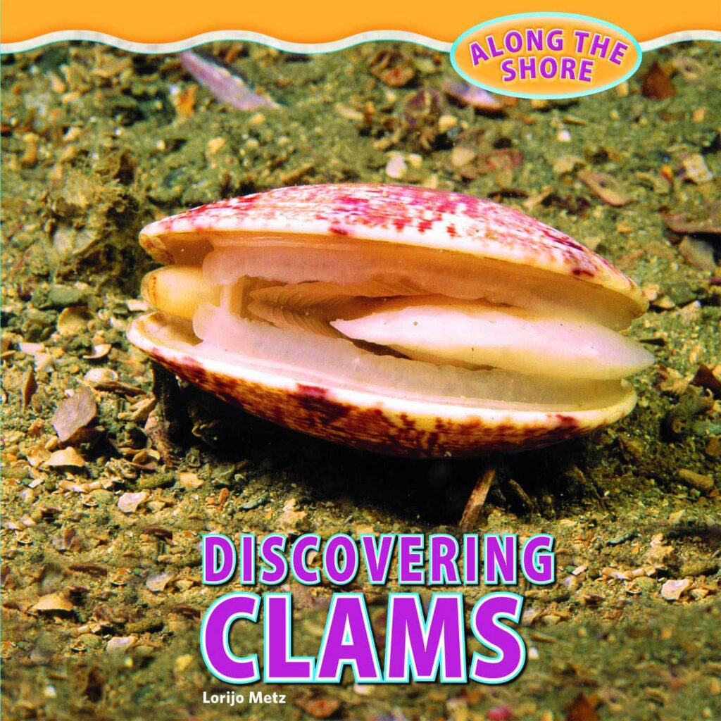 Discovering clams