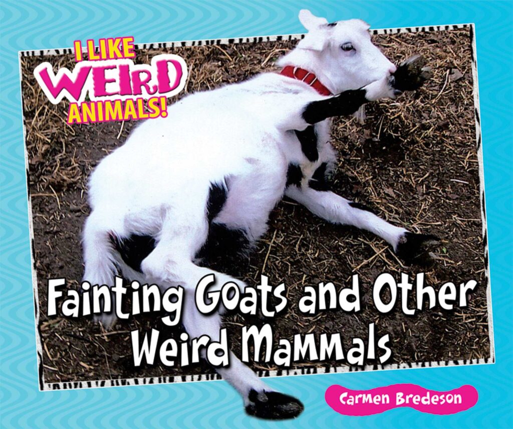 Fainting goats and other weird mammals