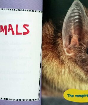 Alternative view of Fainting goats and other weird mammals