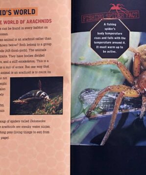 Alternative view of Fishing spiders