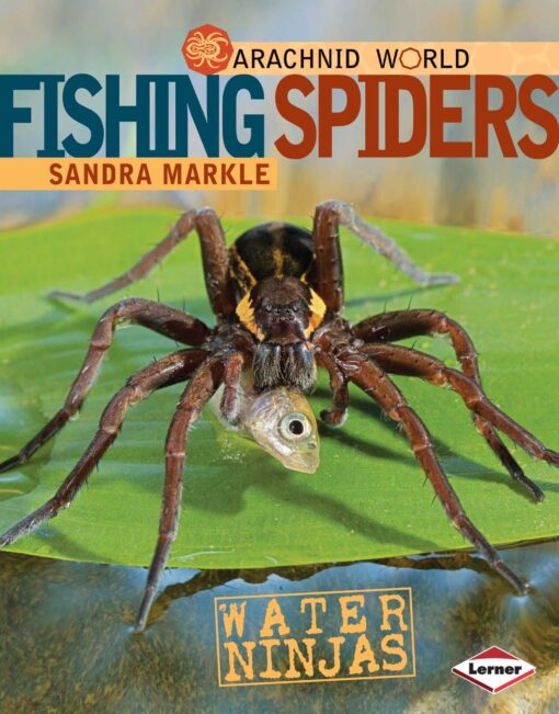 Fishing spiders