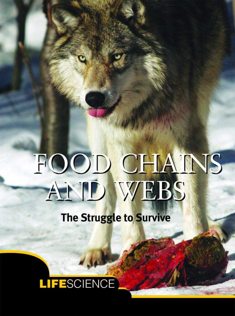 Food chains and webs: the struggle to survive