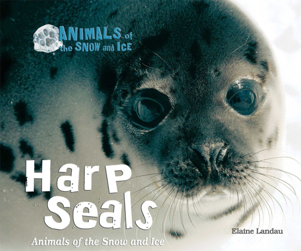 Harp seals
