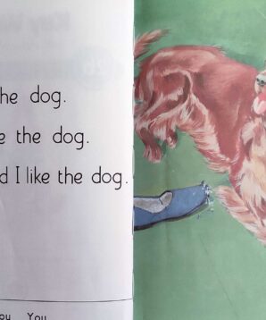 Alternative view of Key words with Peter and Jane book 2b: Have a go