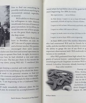 Alternative view of Champions of the ocean