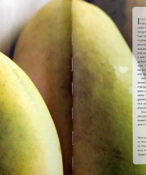 Alternative view of Fresh ingredients