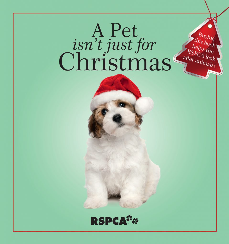 A pet isn't just for Christmas
