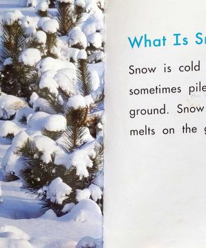 Alternative view of Snow