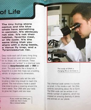 Alternative view of DNA