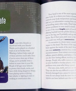 Alternative view of From woodpeckers to helmets