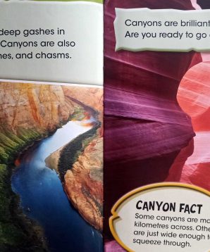 Alternative view of Canyon hunters