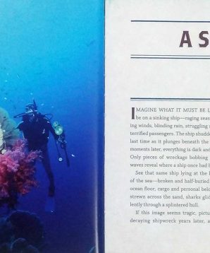 Alternative view of Shipwrecks