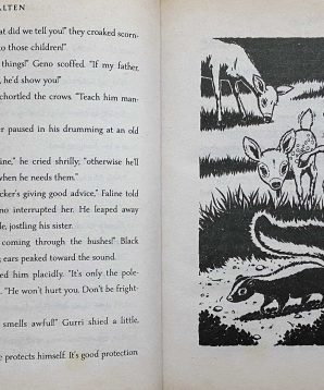 Alternative view of Black pearl ponies: Wildflower