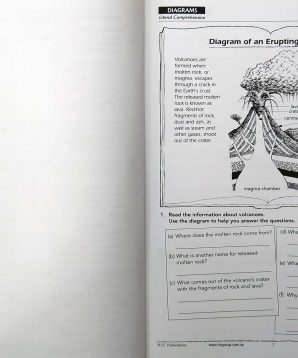 Alternative view of Comprehending informational text: book G