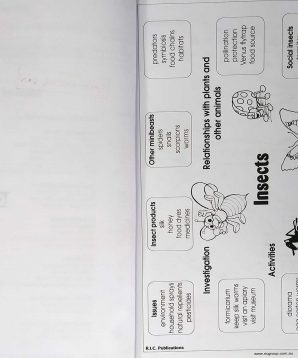 Alternative view of Insects: lower primary themes