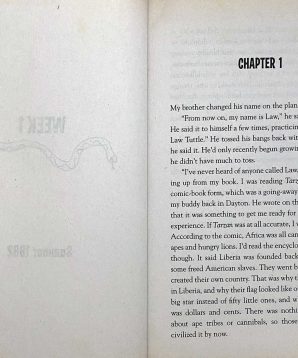 Alternative view of Mamba point