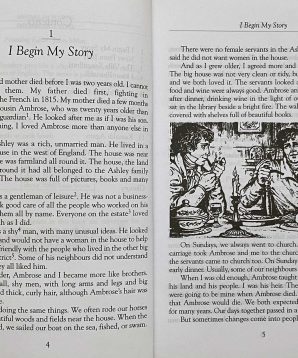 Alternative view of My cousin Rachel