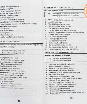 Alternative view of Revised primary English: book 3