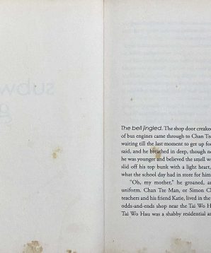 Alternative view of Subway girl