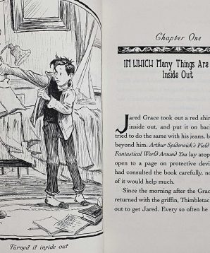 Alternative view of The Spiderwick chronicles: Lucinda's secret