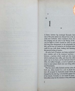 Alternative view of The arm of the starfish