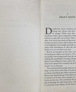 Alternative view of The warlock's shadow