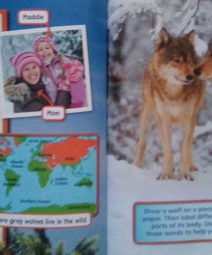 Alternative view of A wolf's life