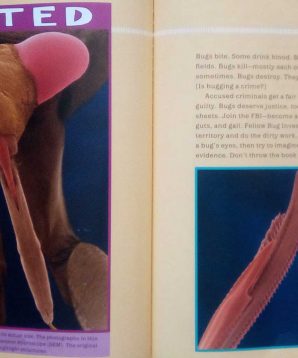 Alternative view of Bug shots