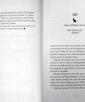 Alternative view of Cat Girl's day off