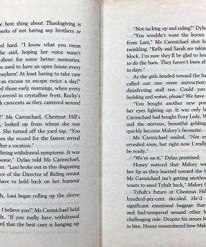 Alternative view of Chestnut Hill: heart of gold