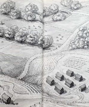 Alternative view of Chicken feathers