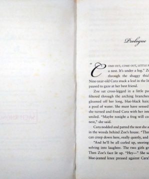 Alternative view of Choker