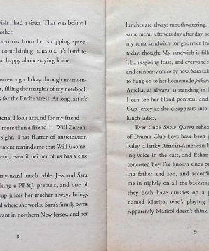 Alternative view of Cinderella cleaners: swan fake