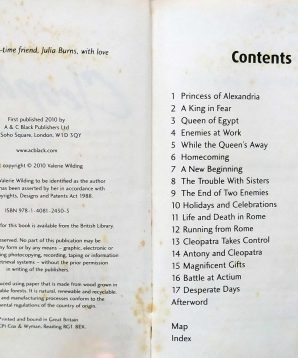 Alternative view of Cleopatra