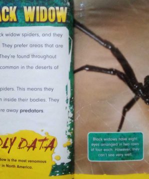 Alternative view of Deadly black widows