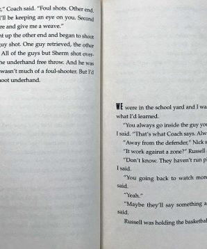 Alternative view of Edenville owls