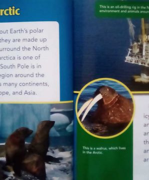 Alternative view of Endangered animals of Antarctica and the Arctic