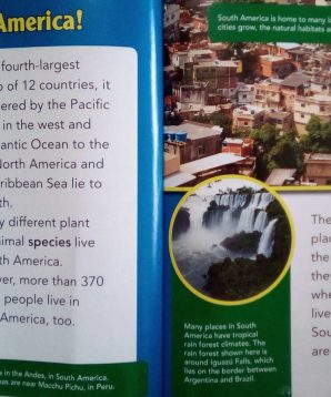 Alternative view of Endangered animals of South America