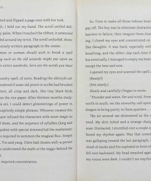 Alternative view of Fox and Phoenix