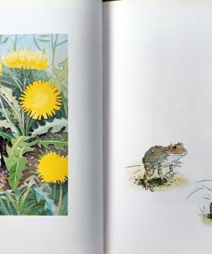 Alternative view of Gem