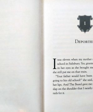 Alternative view of Ghost knight