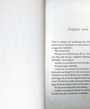 Alternative view of Shut out